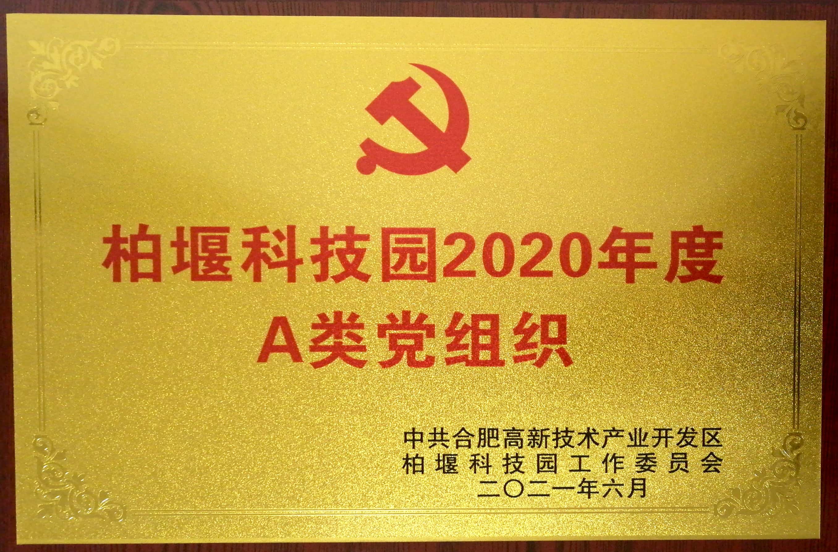 安徽深藍醫療科技股份有限公司黨支部被評為“柏堰科技園2020年度A類黨組織”